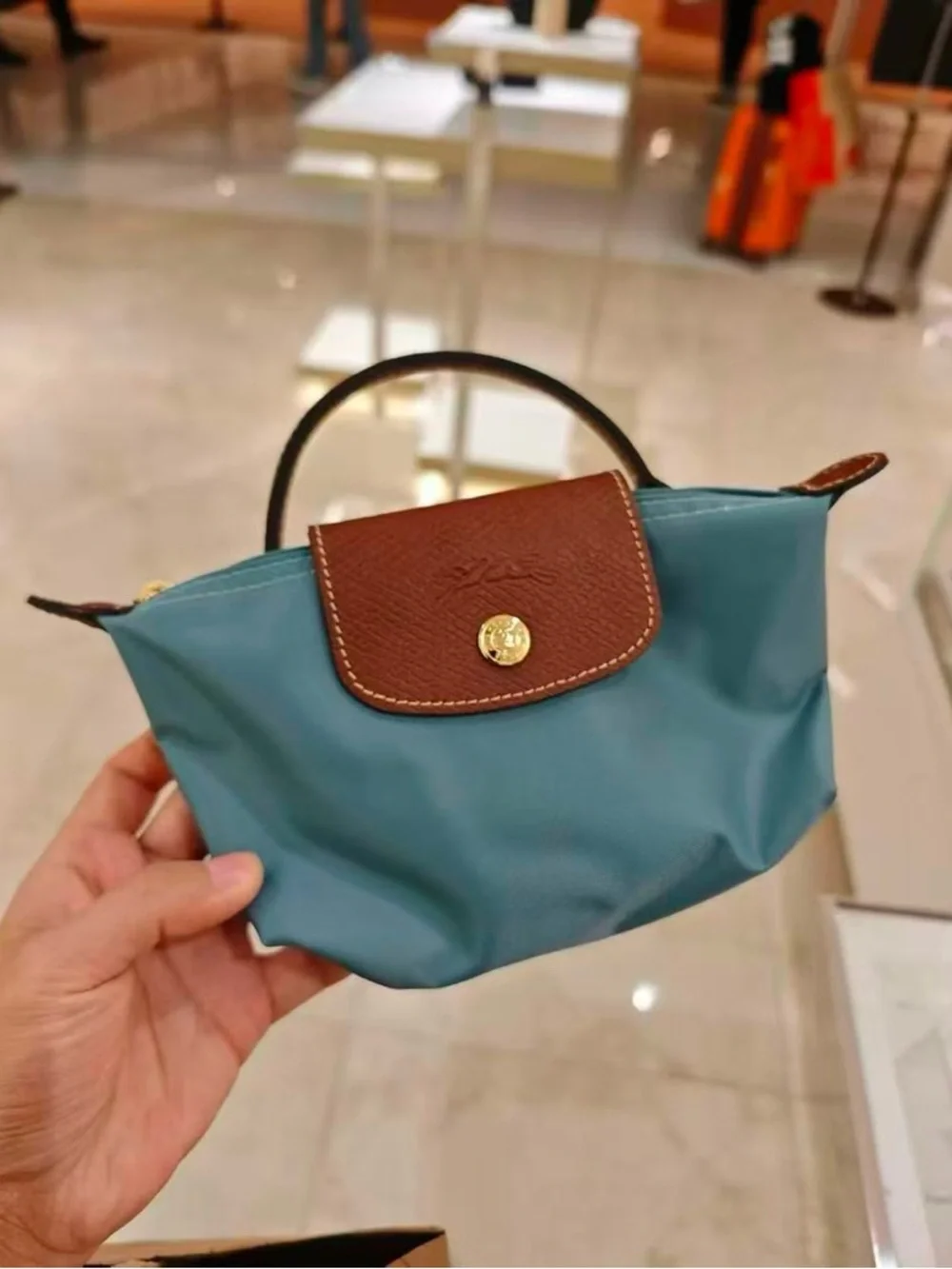 Longchamp Hand Clutch Pouch Morandi Tone Nylon Cosmetic Bag with strap